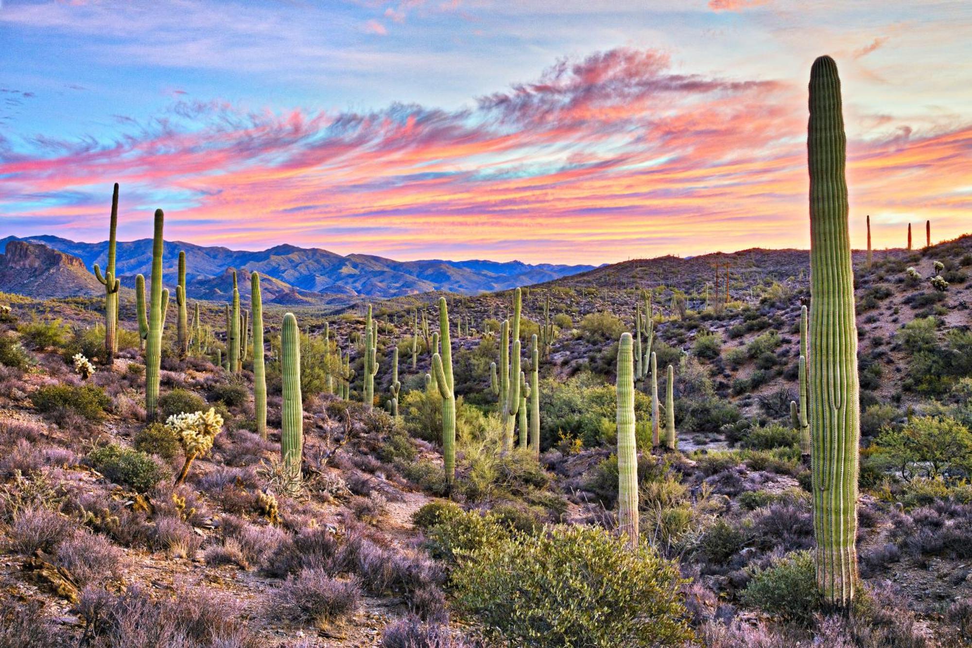 Clubgate Villa Scottsdale Camera foto
